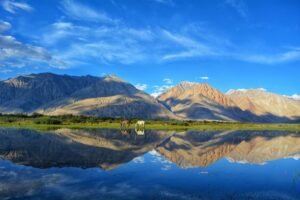 Ladakh Roadtrip (Leh - Leh)