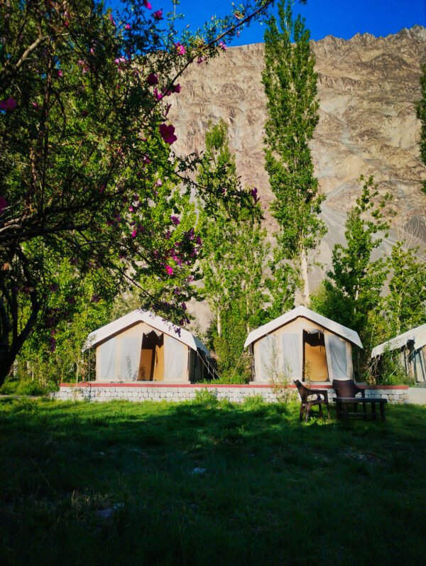 ladakh-trip (4)