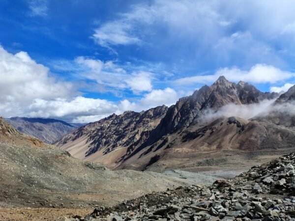 pin-bhaba (5)