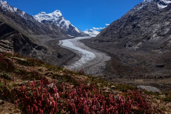 zanskar (2)