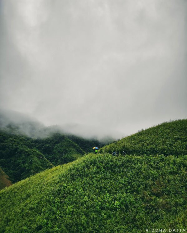 Dzukou-valley (2)