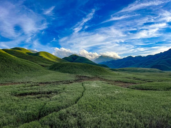 Dzukou-valley (5)