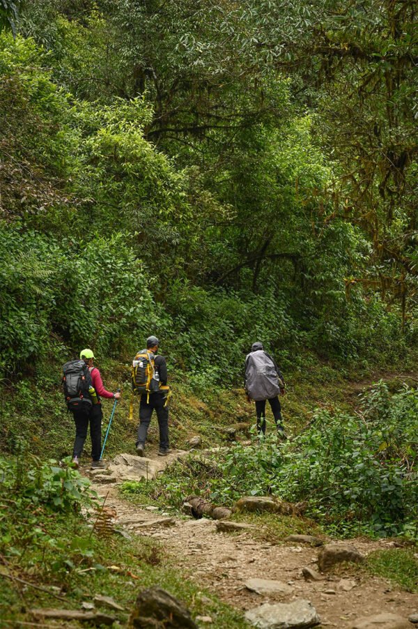 mardi-himal-trek (4)