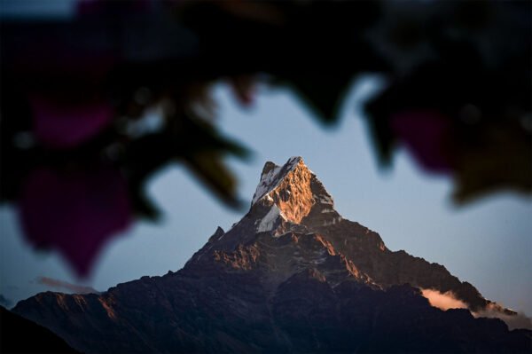 mardi-himal-trek (5)