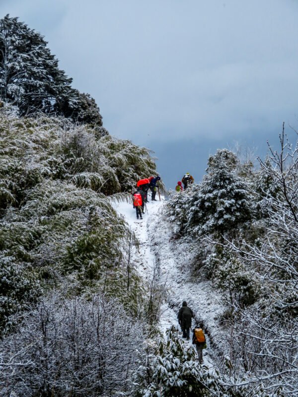 sandakphu-sns (1)