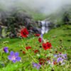 Valley of Flowers Valley of Flowers