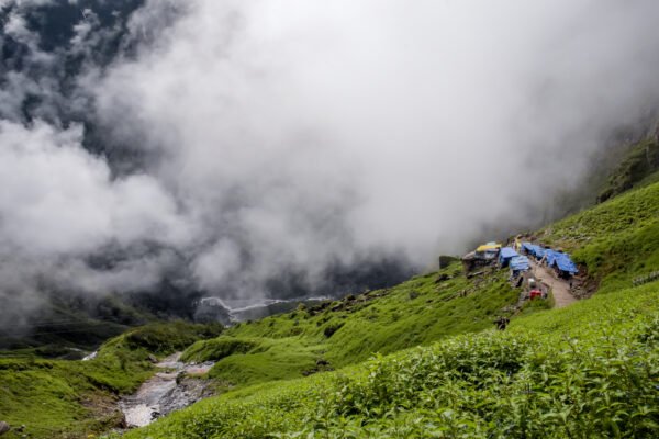valley-of-flower (6)
